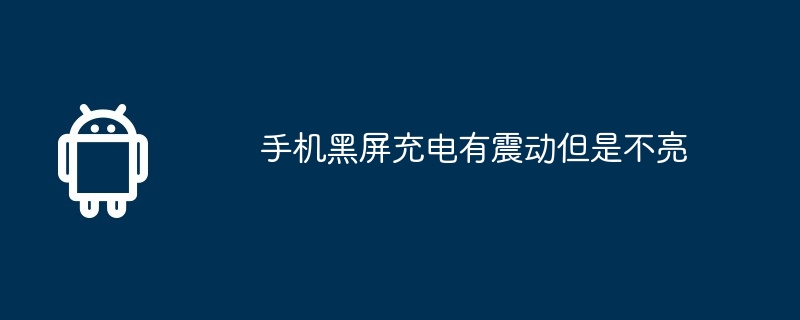 手机黑屏充电有震动但是不亮