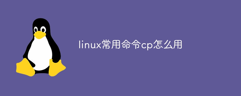 linux常用命令cp怎么用