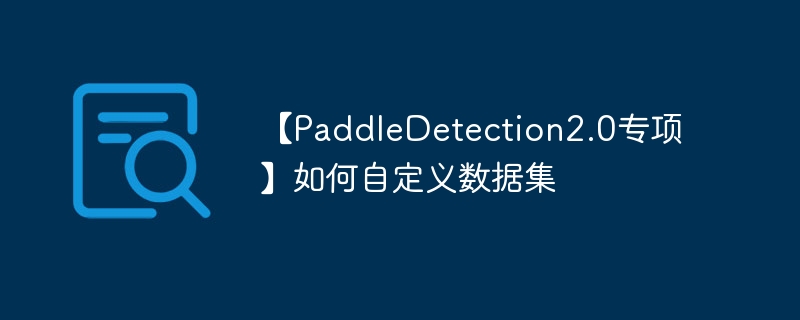 【PaddleDetection2.0专项】如何自定义数据集