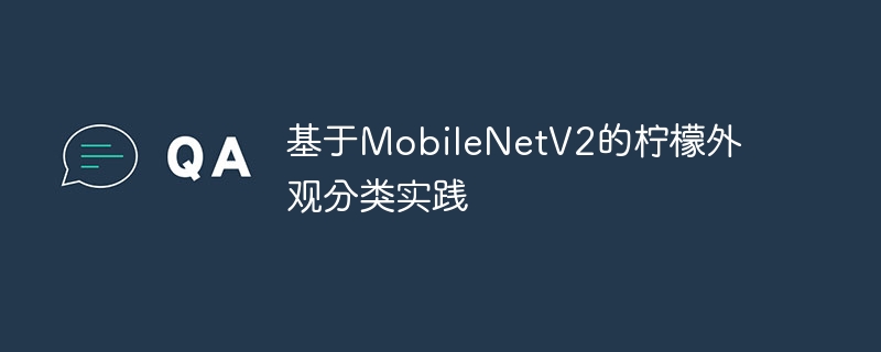 基于MobileNetV2的柠檬外观分类实践