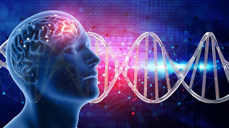 多模态AI如何处理量子计算 多模态AI量子算法可视化
