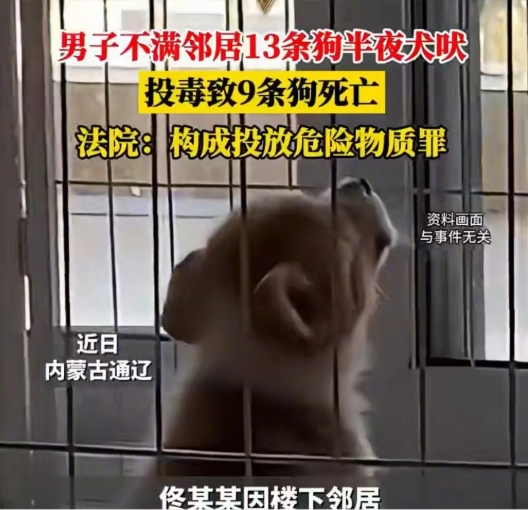 不满13条狗半夜叫扰毒死9只获刑是怎么回事？详情介绍