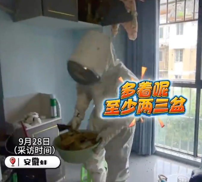 房子三年没住长出10斤蜂巢蜜是怎么回事？详情介绍