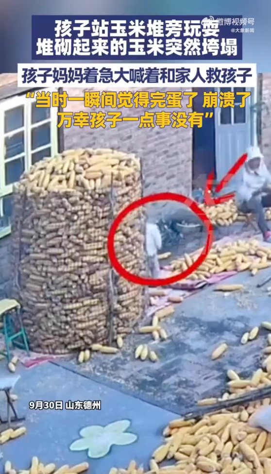 孩子被垮塌的玉米堆掩埋 孩子母亲：万幸没事 - 创想鸟