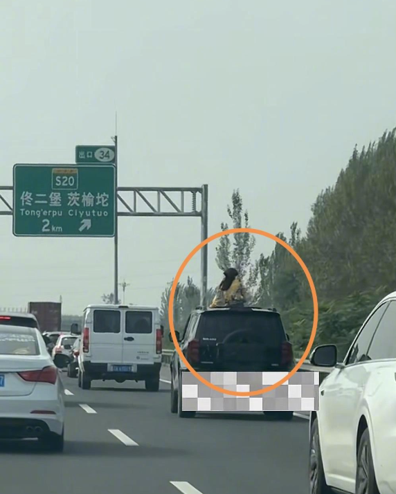 车辆高速行驶中女子上半身探出天窗是怎么回事？详情介绍
