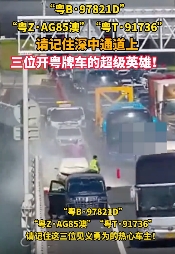 深中通道上三位开粤牌车的超级英雄：“粤B·97821D” “粤Z·AG85澳”“粤T·91736”