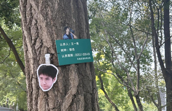 地坛公园多棵明星命名的领养树 引来众多粉丝前往“打卡”