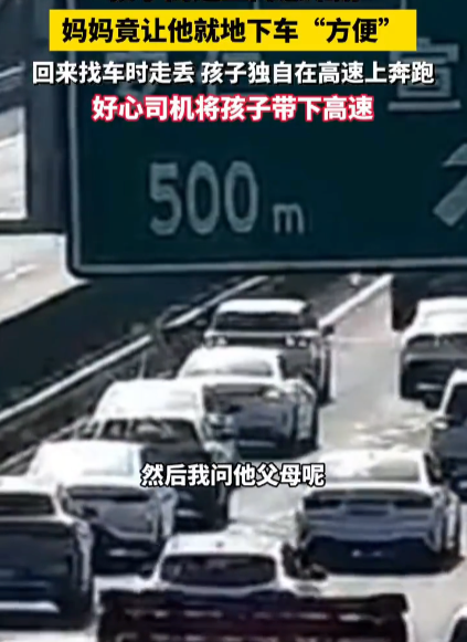 孩子高速上内急难耐妈妈竟让他就地下车”方便” 酿大祸