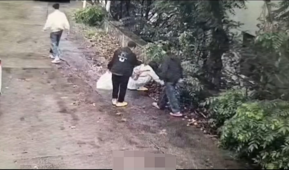 游客称捡果实被民宿老板用水枪喷 景区回应：景区商户个人行为，已在处理