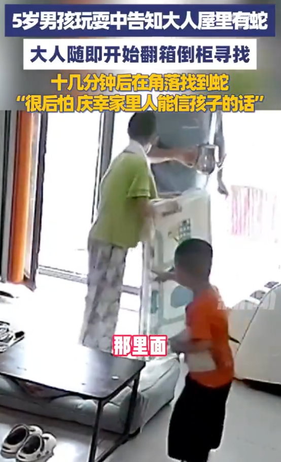 男孩说屋里有蛇大人翻箱倒柜后找到 孩子父亲：很后怕，庆幸听了孩子的话