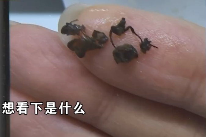 老顾客称奶茶喝出锯齿状物体 店家：内部检查没发现