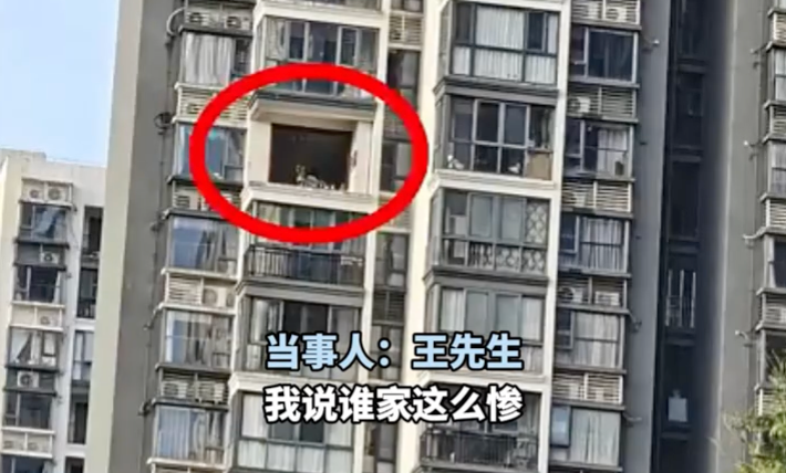 男子回家发现门窗被台风“偷”了 当事人：业主群吃瓜吃到自己头上