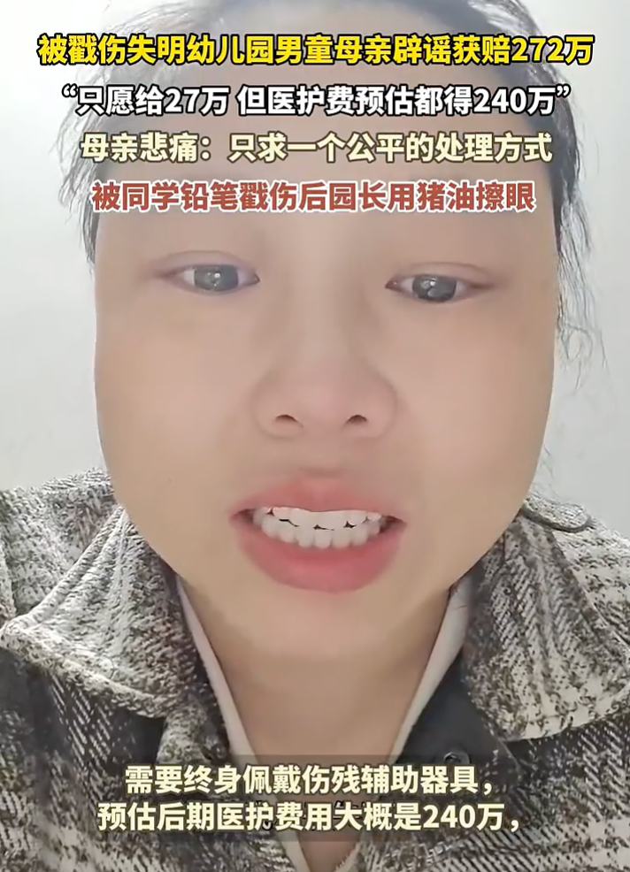 被戳伤失明男童母亲辟谣获赔272万：只愿给27万，但医护费预估都得240万
