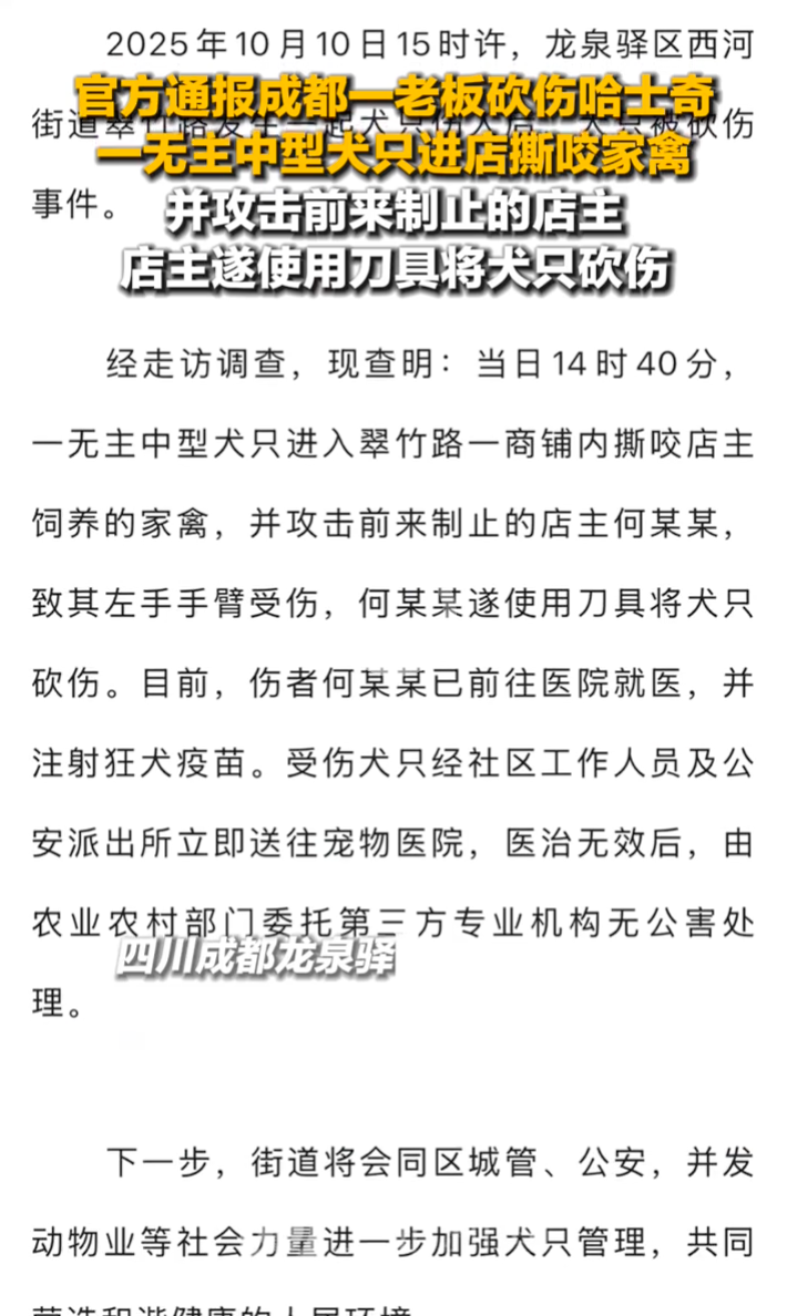 官方通报成都一老板砍伤哈士奇：犬只伤人在先，已被无公害处理 - 创想鸟