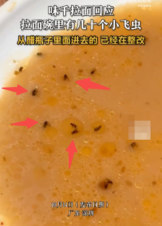 味千拉面回应碗里现大量飞虫:醋瓶子未及时清理导致 已在整改并协商赔偿 - 创想鸟