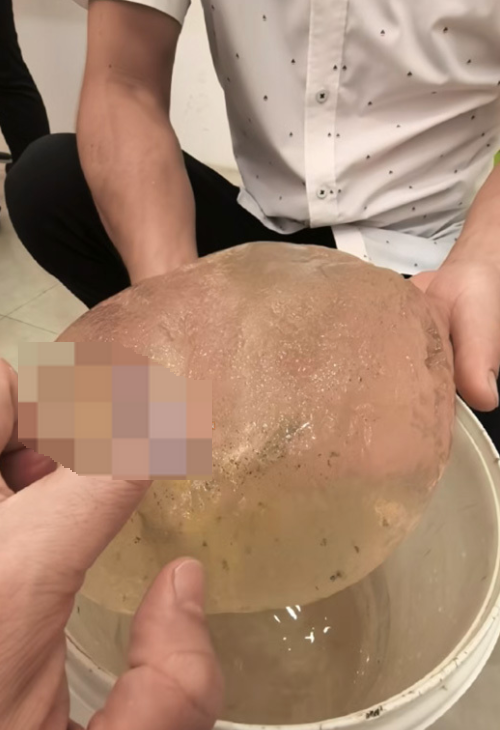 钓鱼老哥发现透明状软乎乎的东西是怎么回事？详情介绍