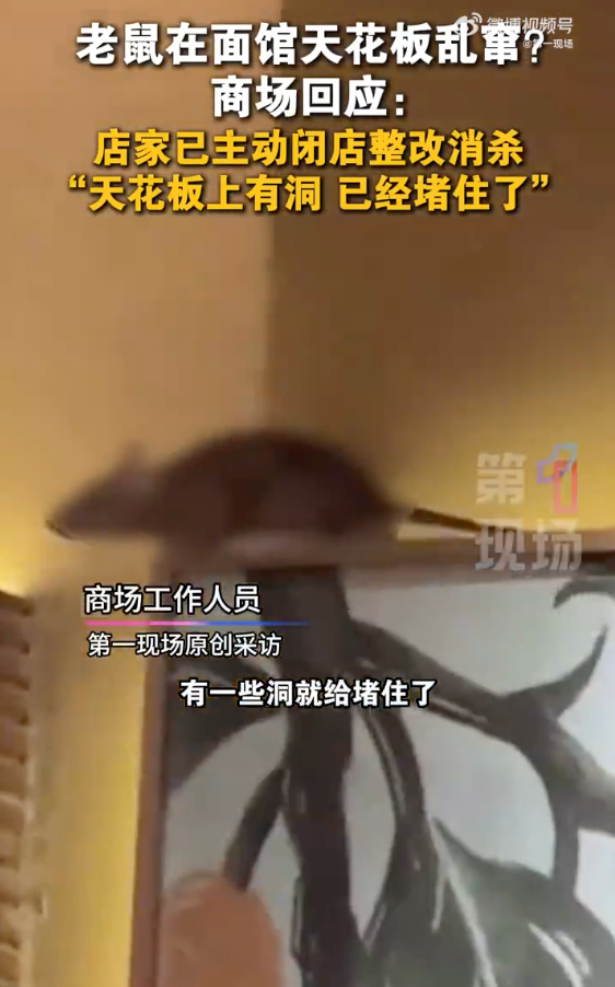 商场回应餐厅天花板上老鼠乱窜：已闭店整改进行消杀