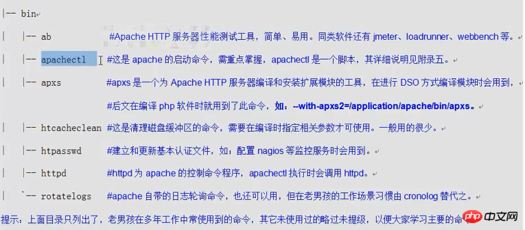 LAMP=Linux+Apache+Mysql+Php