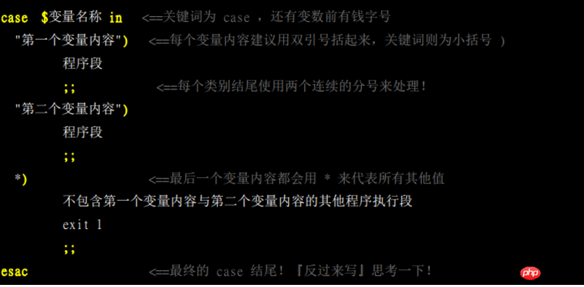 Linux--Bash 和 Shell讲解