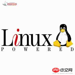 Linux的常用命令的学习