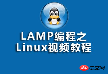 LAMP编程之Linux视频资源（源码课件）推荐