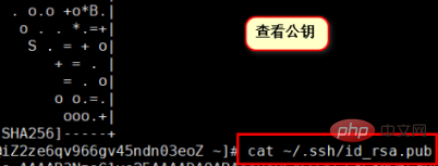 67627ef437bbe0f2df0171a11876232.png