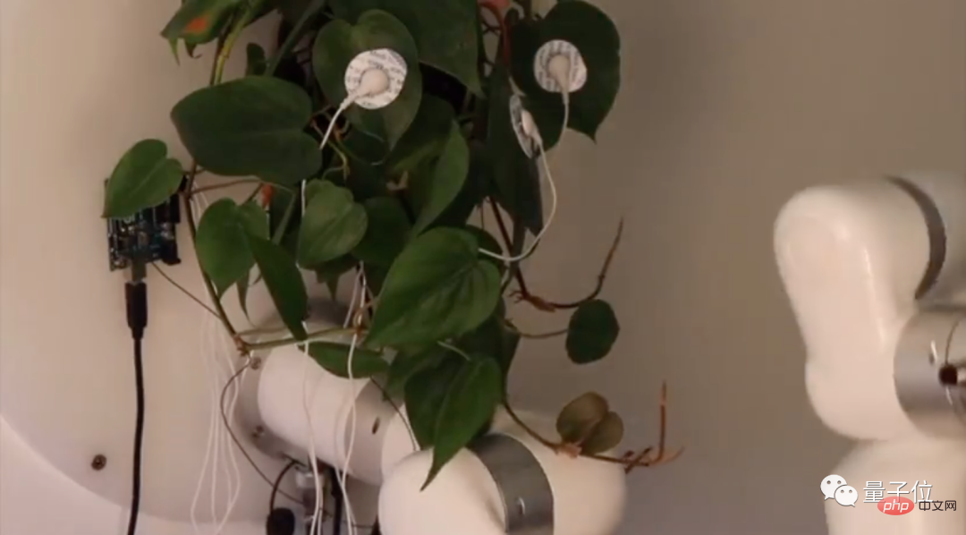 他让盆栽控制大砍刀、驾驶无人机，还让苍蝇敲键盘发帖，网友：好怪，再看一眼