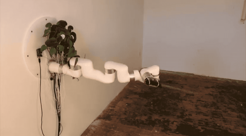 他让盆栽控制大砍刀、驾驶无人机，还让苍蝇敲键盘发帖，网友：好怪，再看一眼