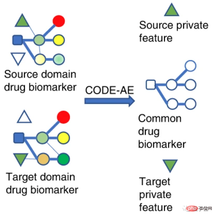 AI为人类开药方：准确预测9000名癌症患者适用药物！成果登上Nature子刊，出自华人团队