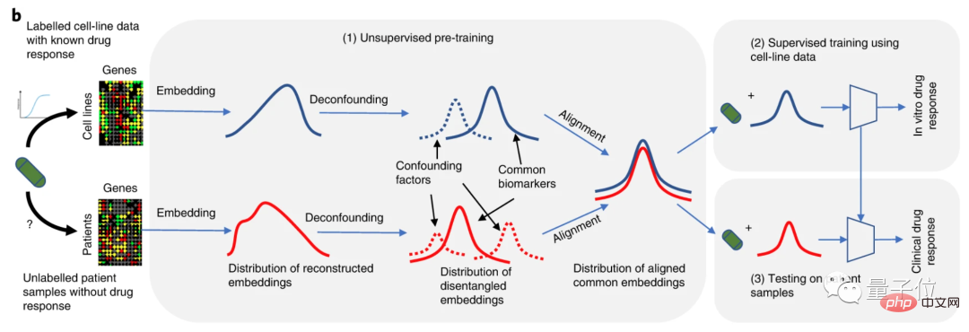 AI为人类开药方：准确预测9000名癌症患者适用药物！成果登上Nature子刊，出自华人团队