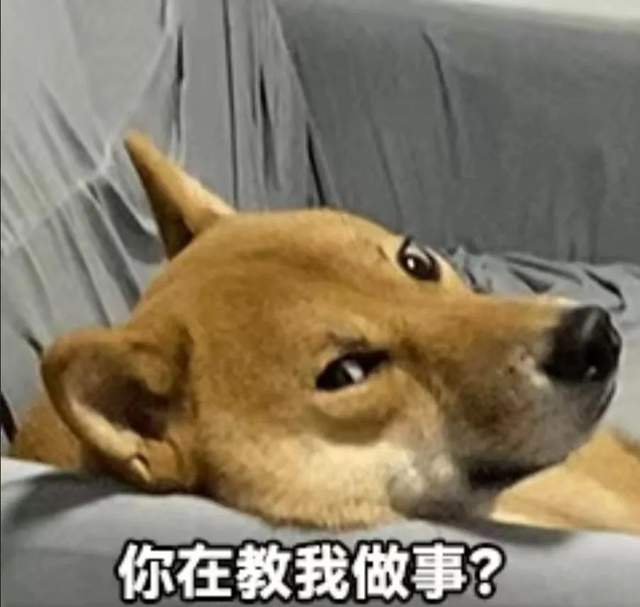 当AI住进智能音箱，我拥有了一位情绪稳定的话痨朋友