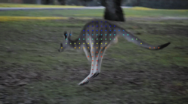 随时随地，追踪每个像素，连遮挡都不怕的「追踪一切」视频算法来了