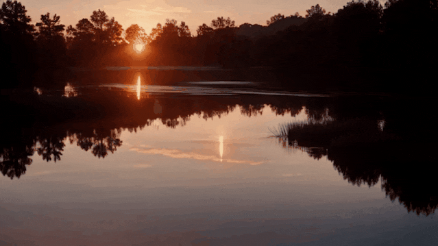 人手一部「小电影」！视频版Midjourney免费可用，一句话秒生酷炫大片惊呆网友