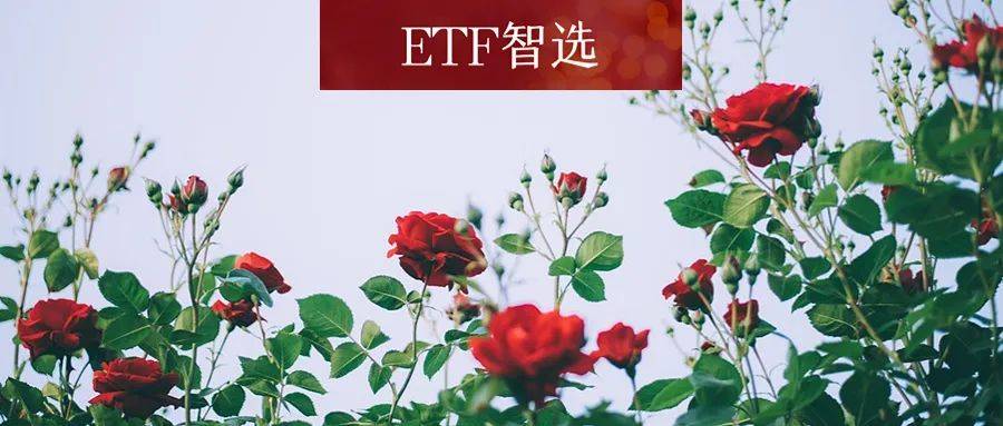 人形机器人概念集体爆发，能买吗？