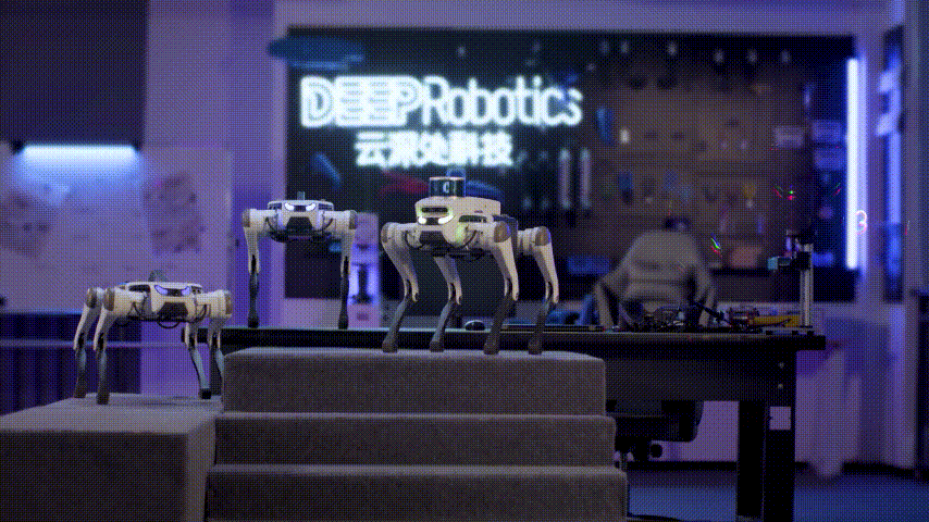 “具身智能”引爆机器人产业，看绝影Lite3/X20四足机器人有何特别之处？