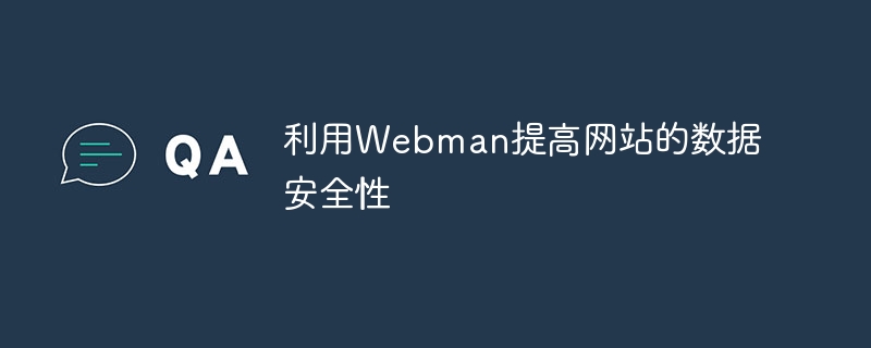 利用webman提高网站的数据安全性