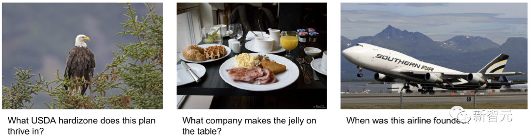 「知识型图像问答」微调也没用？谷歌发布搜索系统AVIS：少样本超越有监督PALI，准确率提升三倍