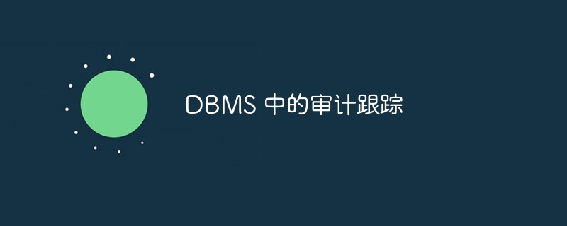 DBMS 中的审计跟踪
