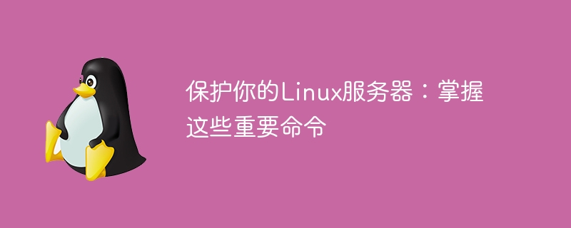 保护你的linux服务器：掌握这些重要命令