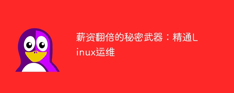 薪资翻倍的秘密武器：精通Linux运维