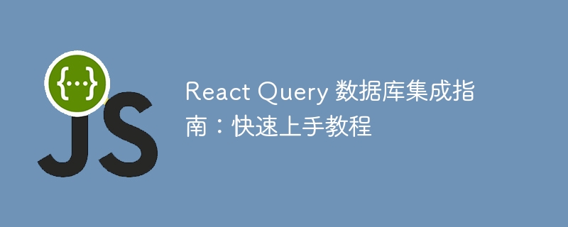 react query 数据库集成指南：快速上手教程
