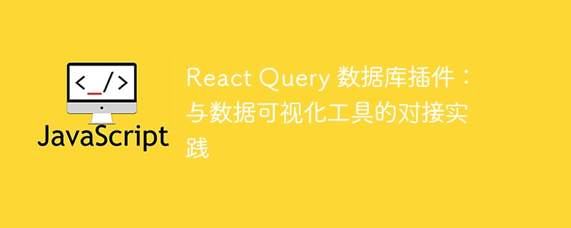 react query 数据库插件：与数据可视化工具的对接实践