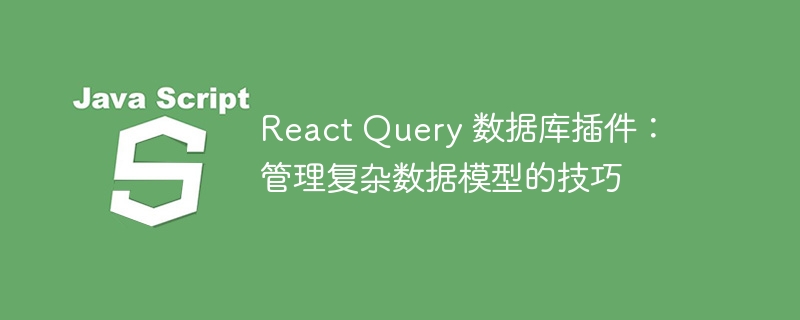 react query 数据库插件：管理复杂数据模型的技巧