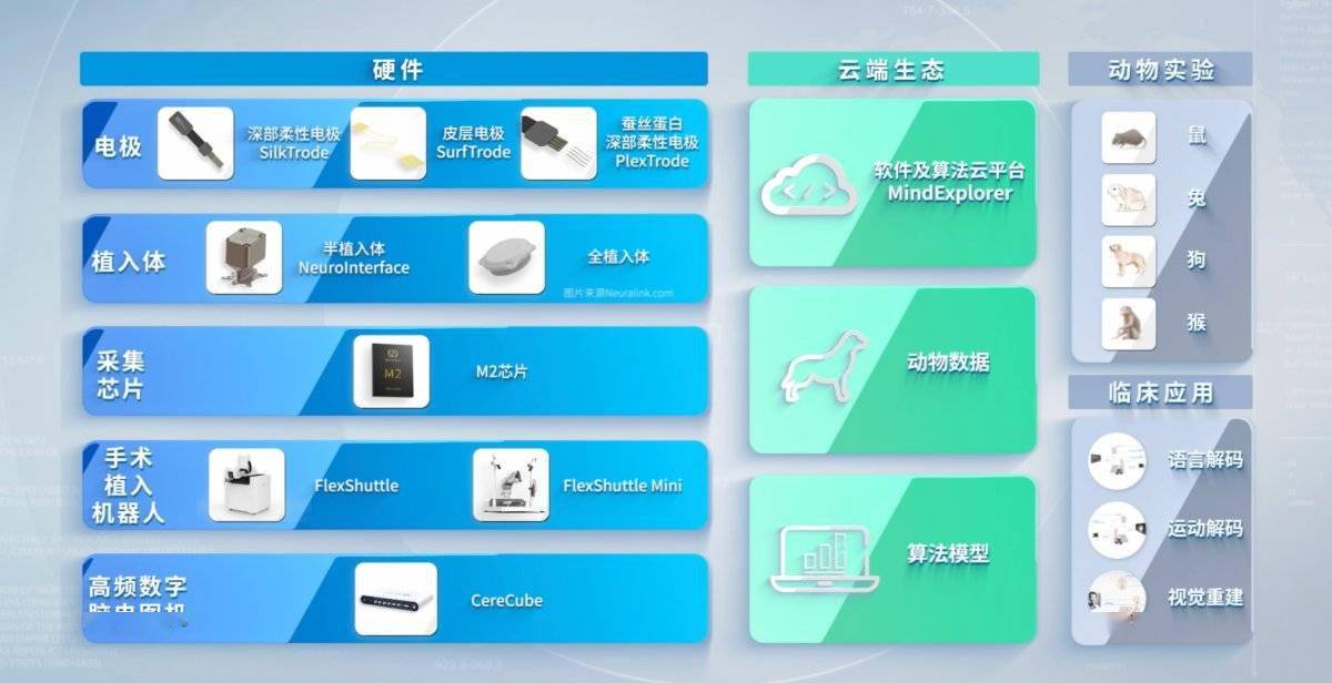 柔性脑机接口整体解决方案：脑虎科技全力打造