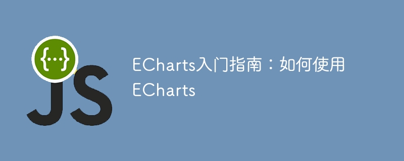 echarts入门指南：如何使用echarts