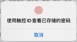 如何关闭苹果Safari的自动填充功能？