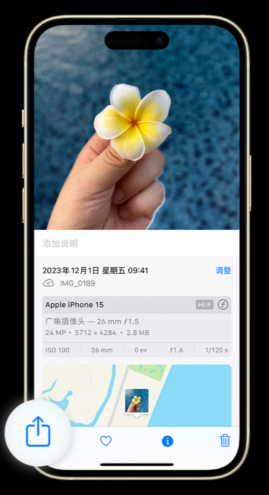 在 iPhone 上如何将照片转为 JPG 格式以便与他人分享？