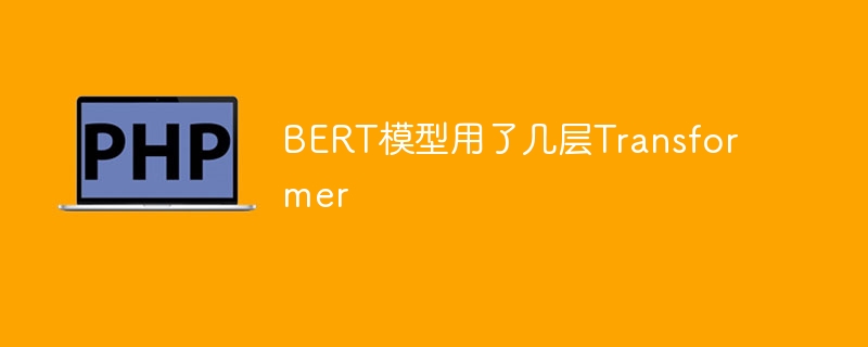 BERT模型中使用了多少个Transformer层？