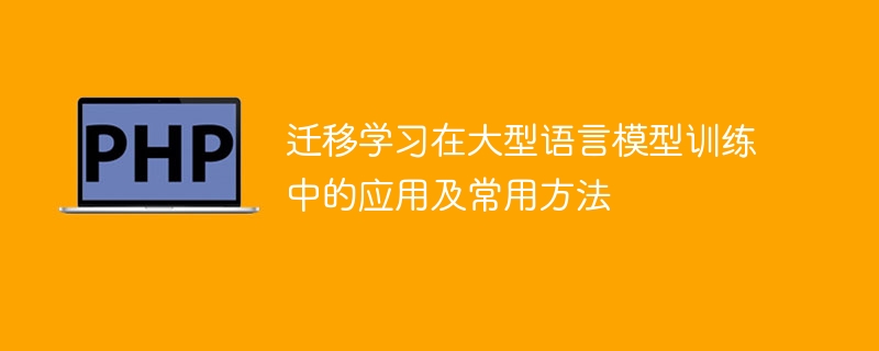 大型语言模型训练中的迁移学习应用及常见技术