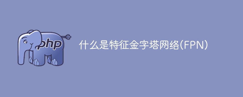 特征金字塔网络(FPN)的定义和作用是什么？